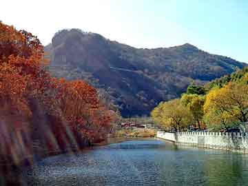 天天彩好彩天天免费，家庭教师小说